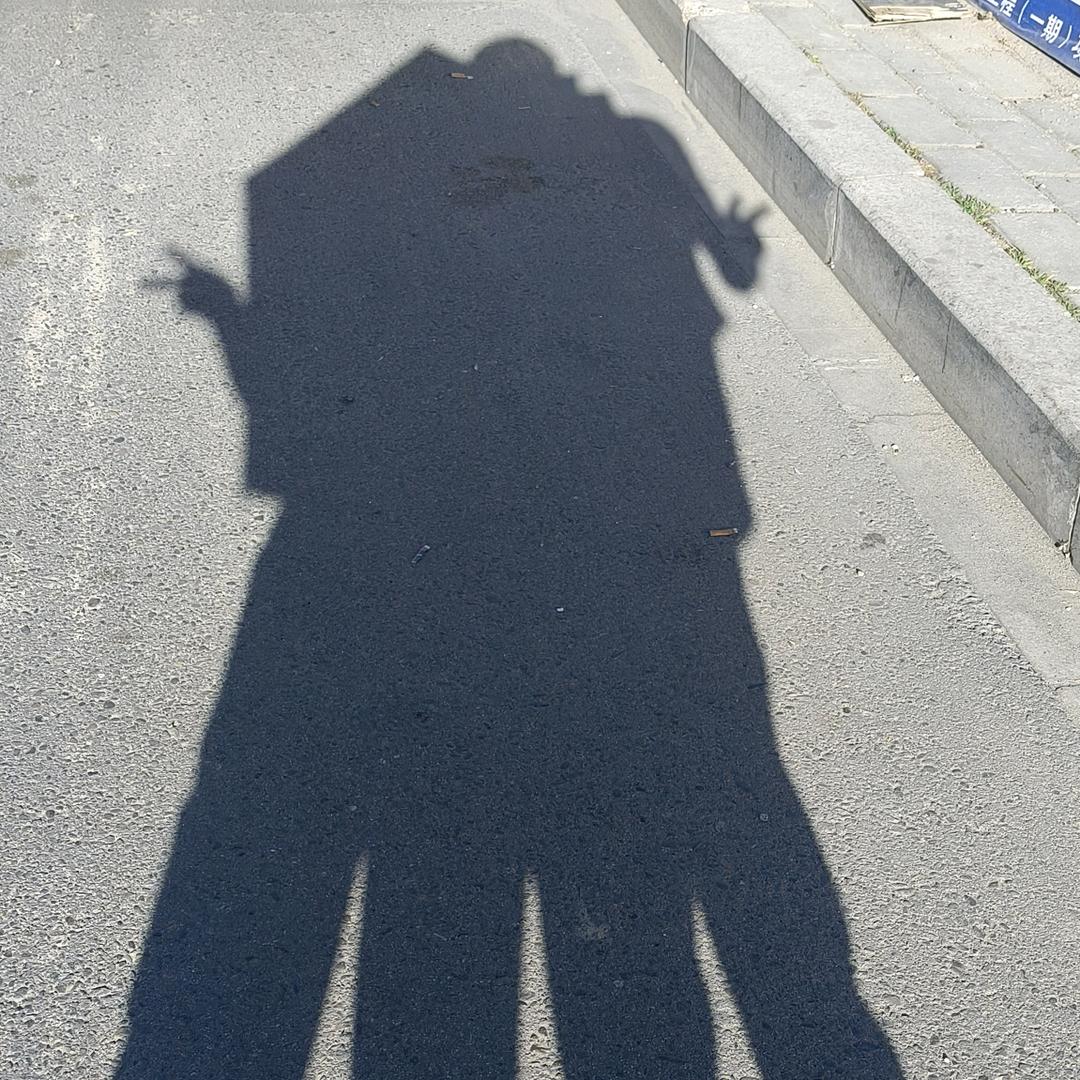 丹啦🌴
