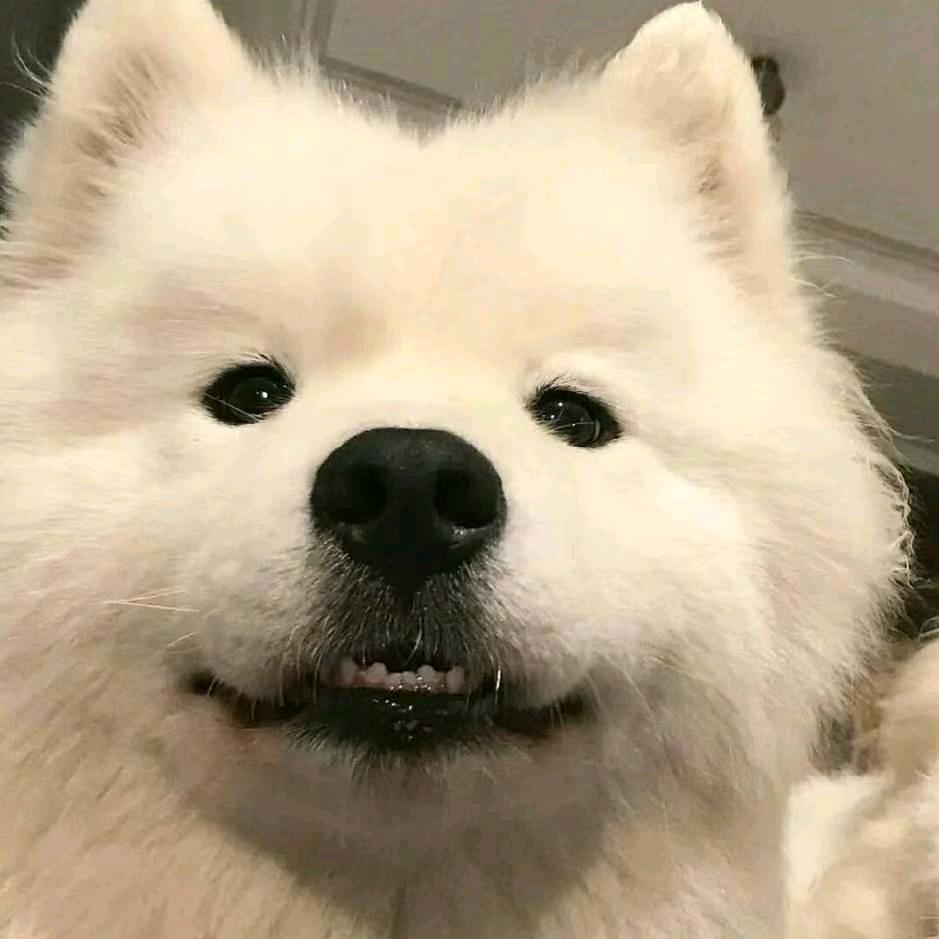 同志小王