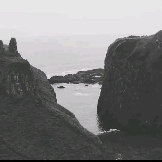 随缘.