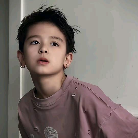 鹈鹕