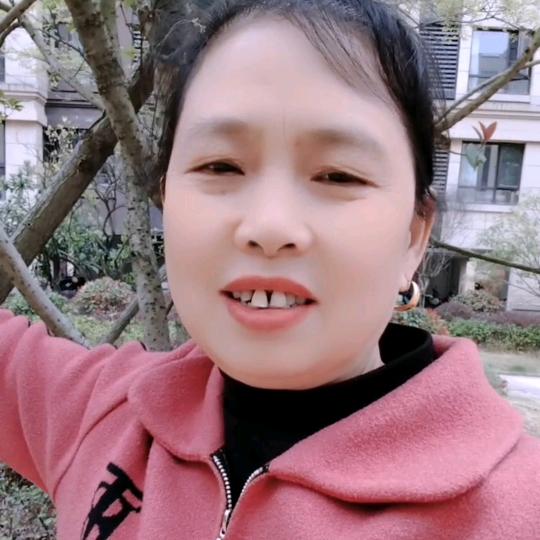 杨秀枌
