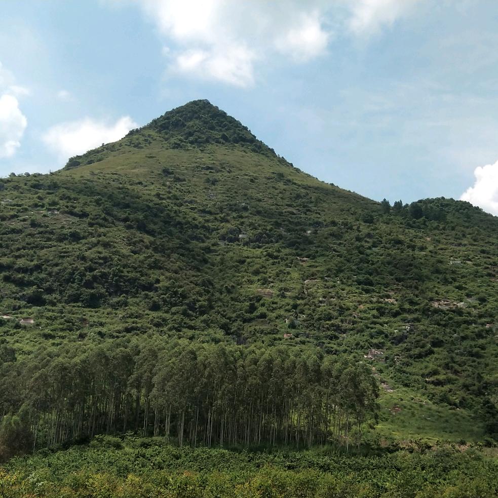 古法郭杨人居环境学