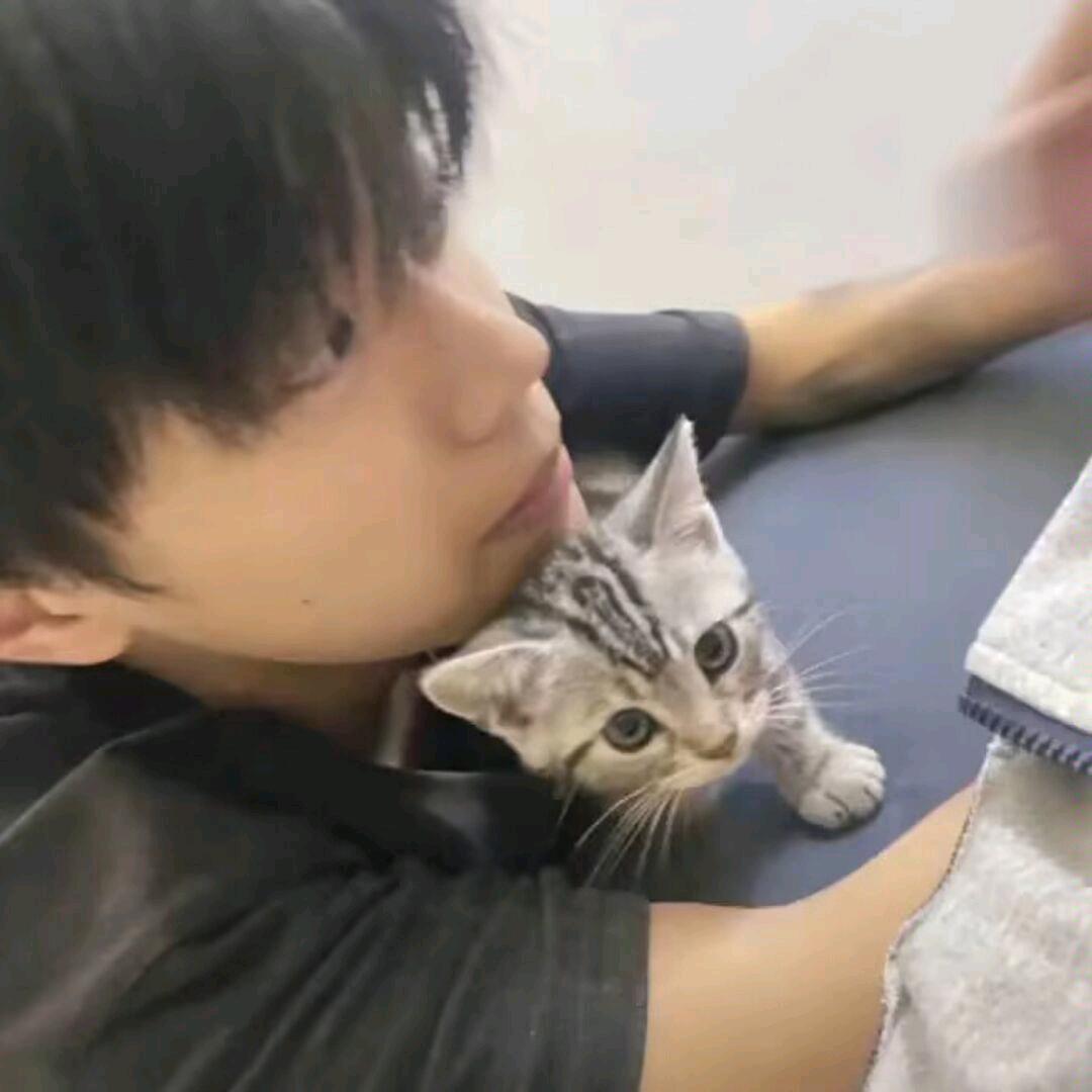 踏踏实实.