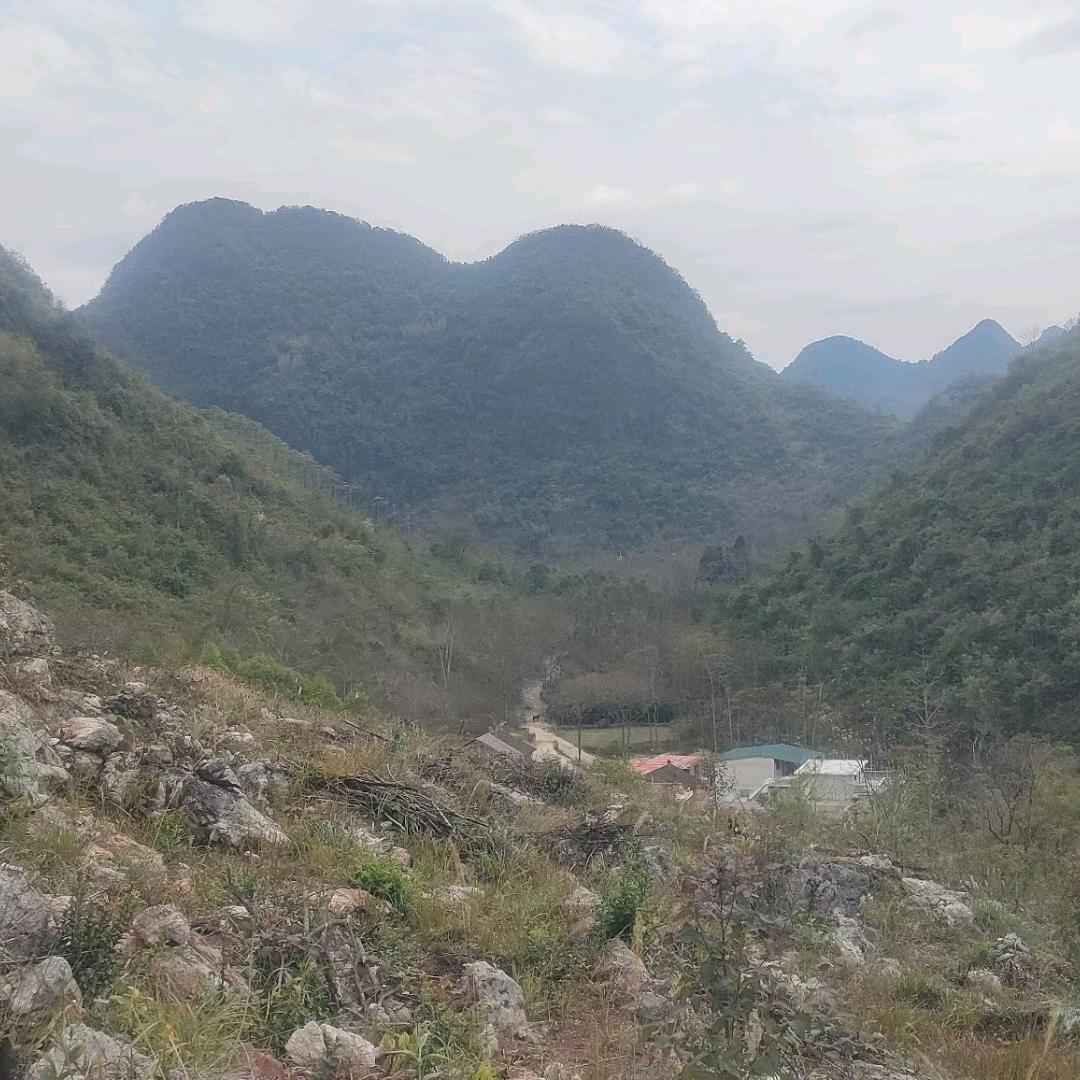 青山老者