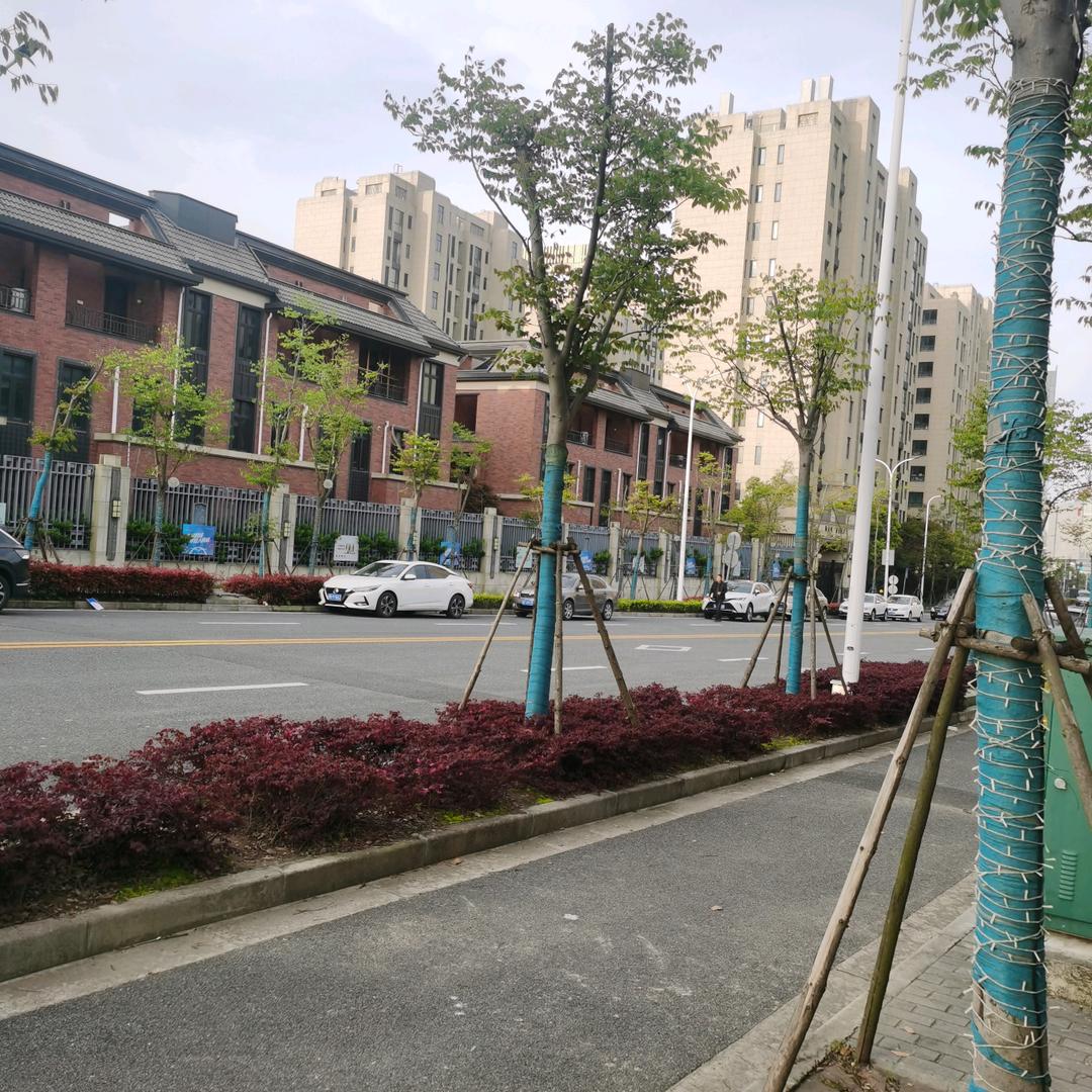 💫雪起风沙痕💫