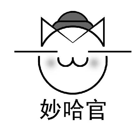 六安市妙哈官贸易有限公司