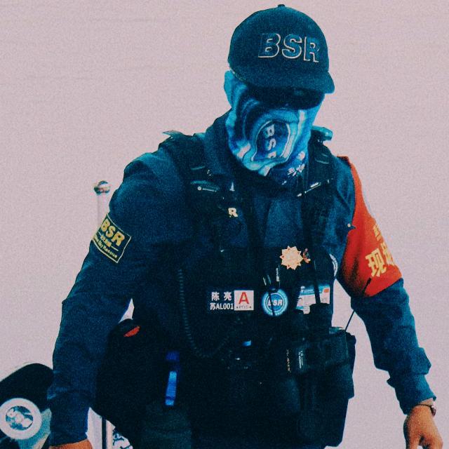 BSR-陈亮