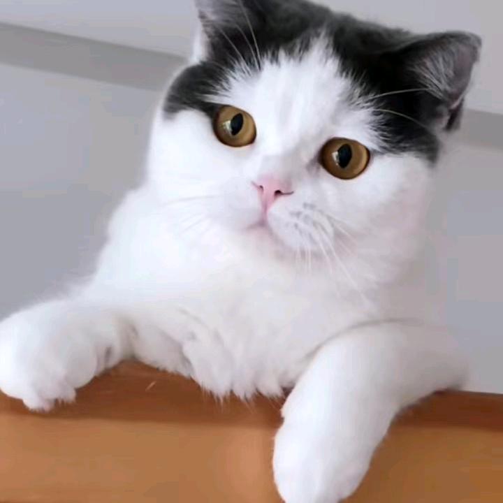 海洋