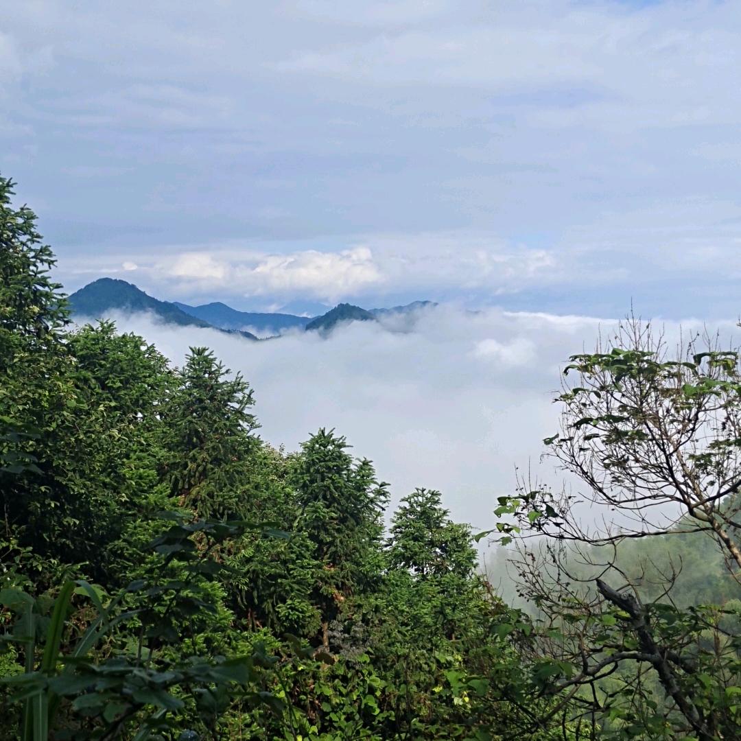 张小胖
