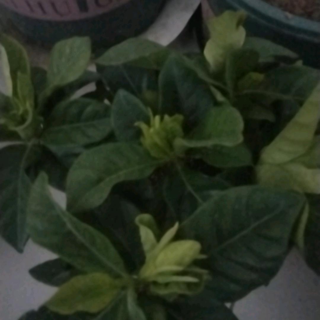 人生没有满分