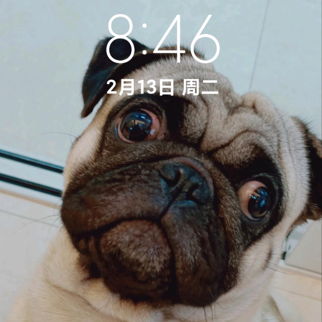 咖喱的幸福生活
