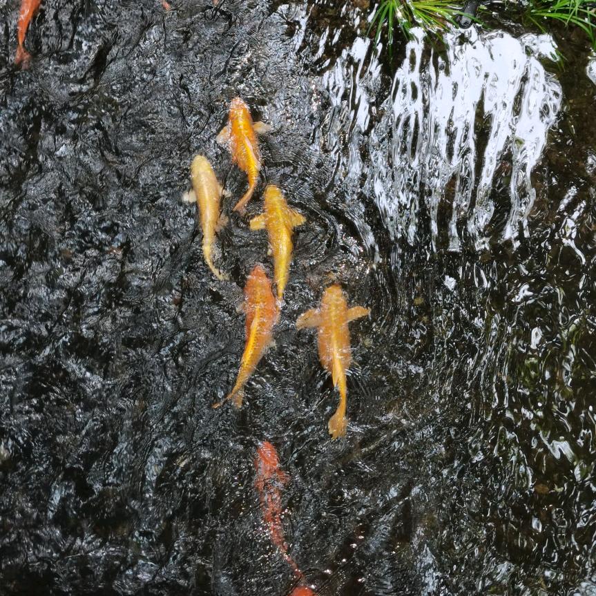 🐍年年十八🌟