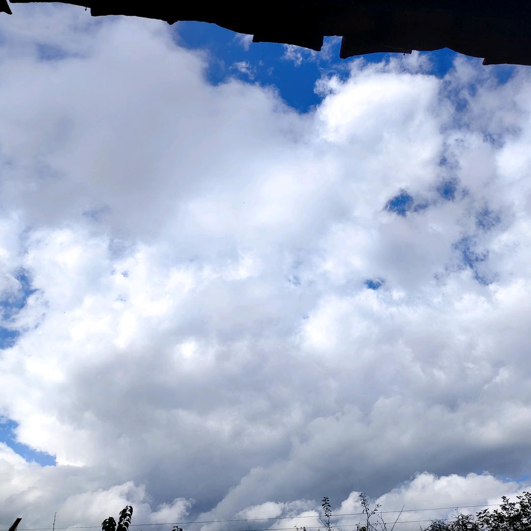 年轻气盛与天争