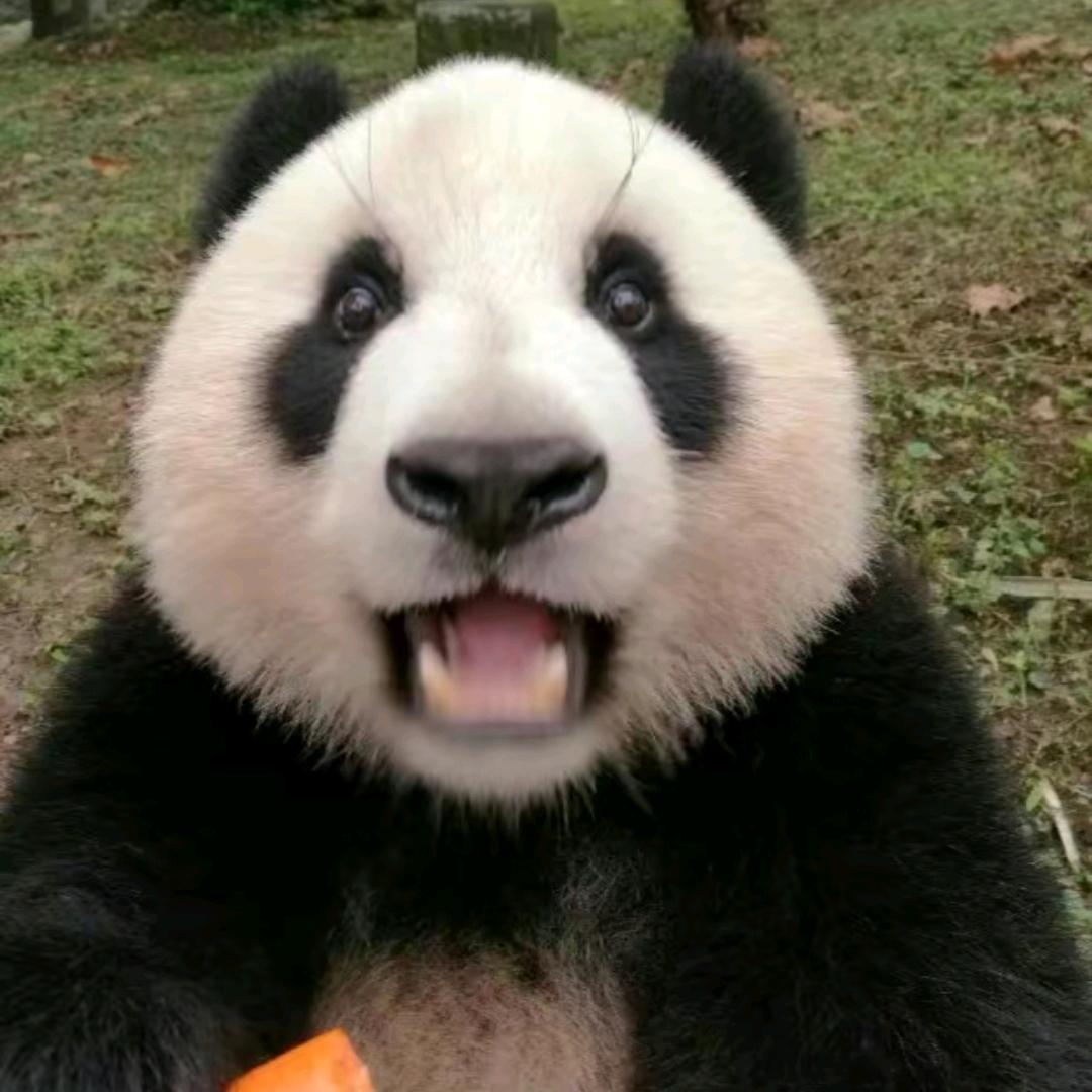 是小婷呀