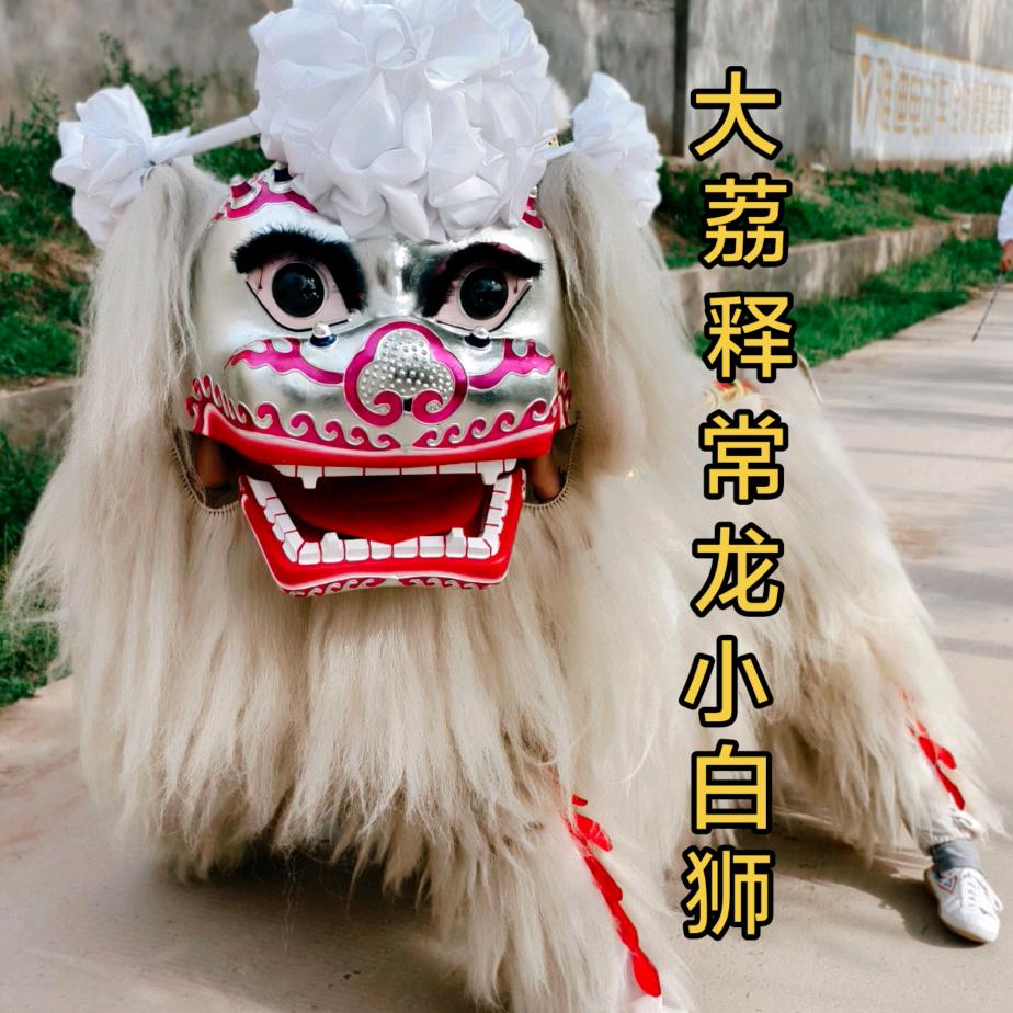 大荔 释常龙小白狮
