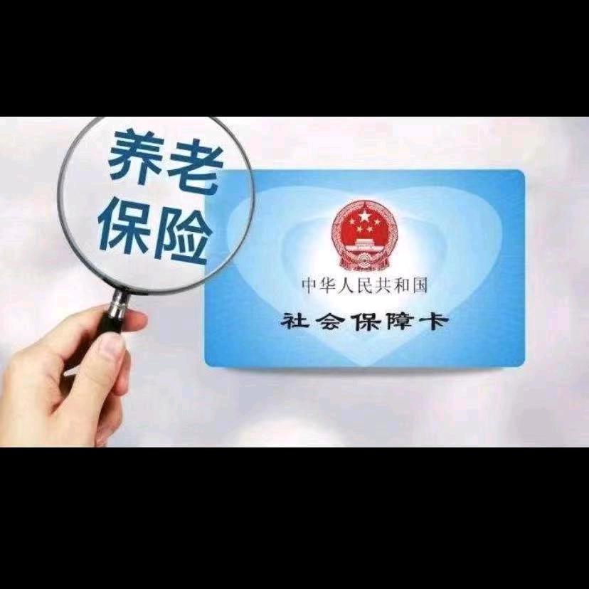 社保咨询郑州三鞭科技