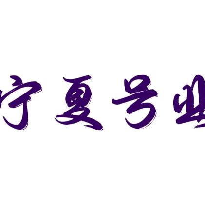 宁夏号业