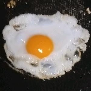正在努力的白露