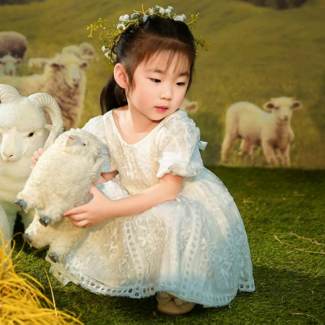🌸安安吖