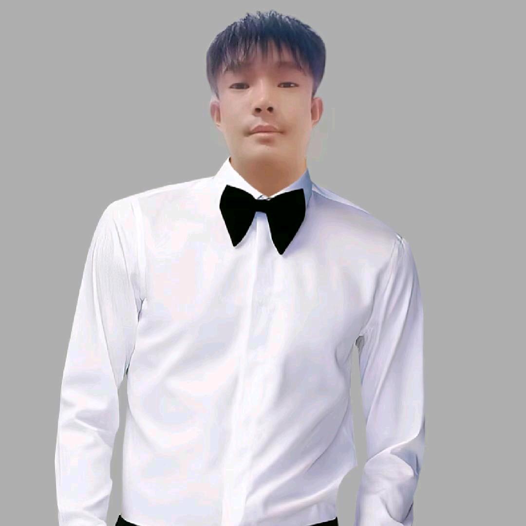 晨晨小白