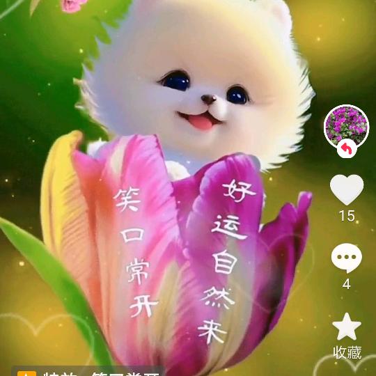 xX毛善良的