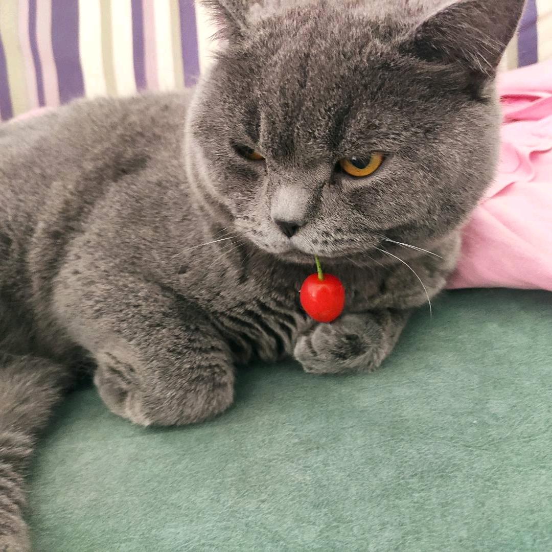 𝓓𝓮𝓐𝓡⁵²º࿐❥⅓¼