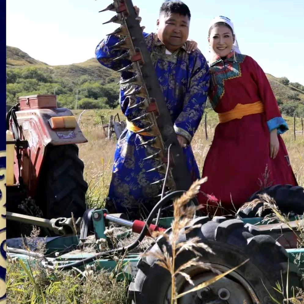 锡林郭勒盟阿巴嘎旗中介