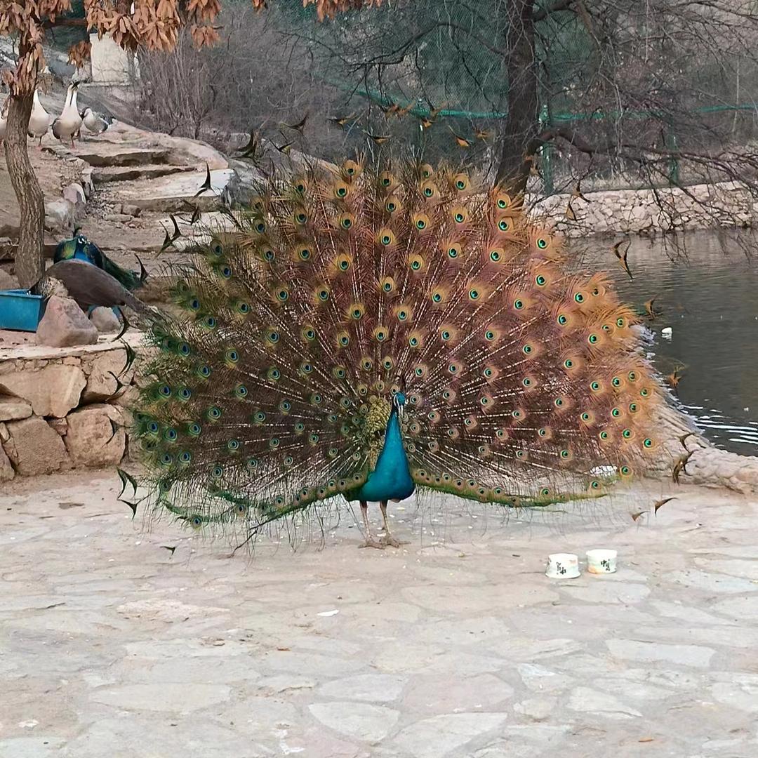 简单幸福