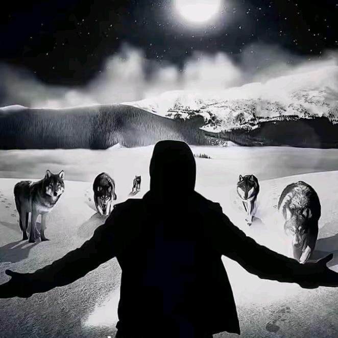 🕊BIRDANAM🕊5938