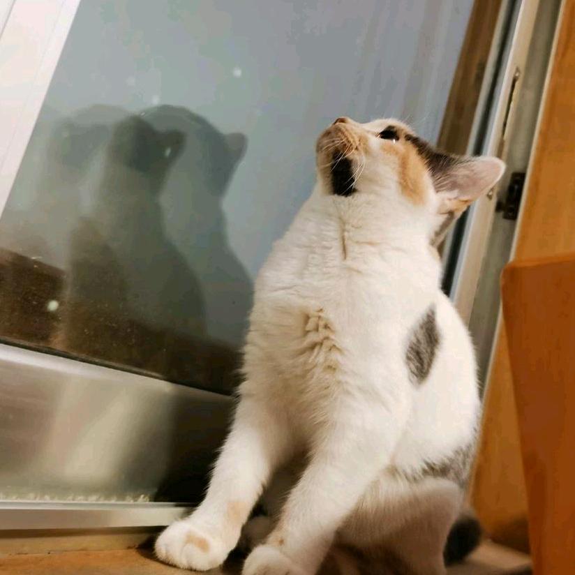 抓紧抱住二十三🌈