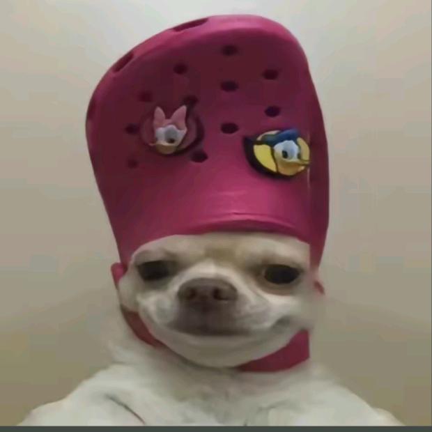泥头车