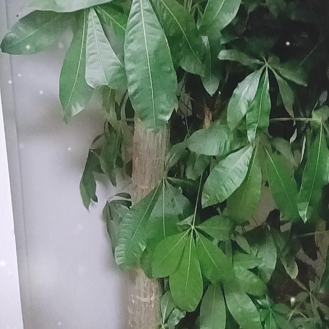 过去