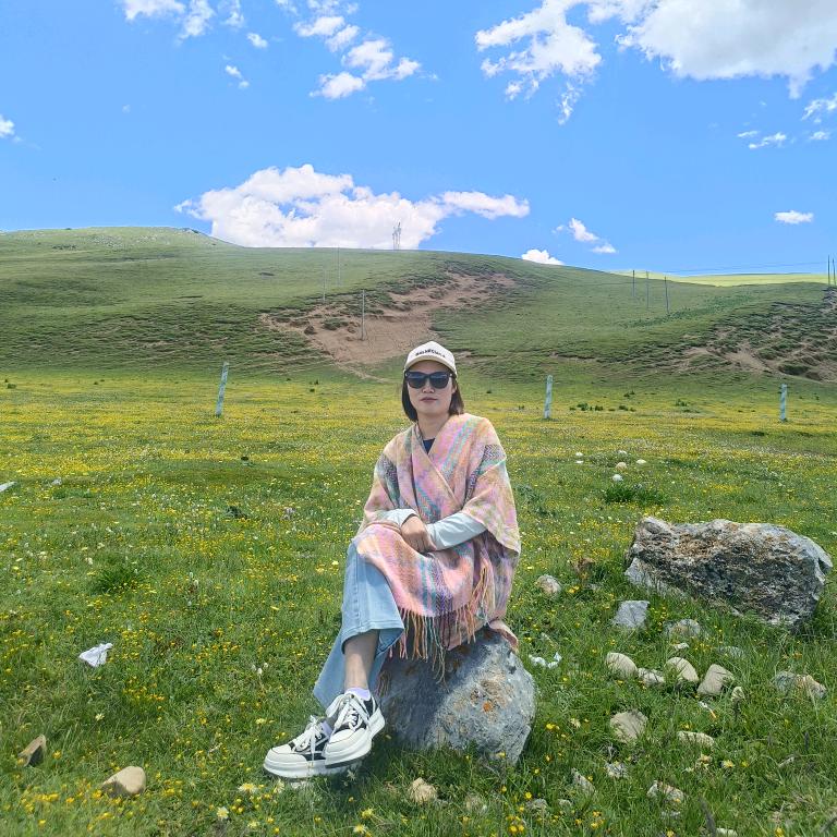 ✨李李