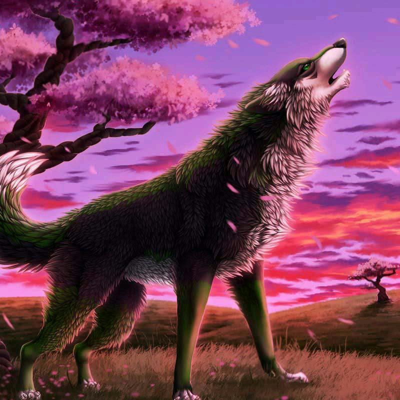 ღ᭄💞є⃝余生᭄ྀ随心ོꦿ℘