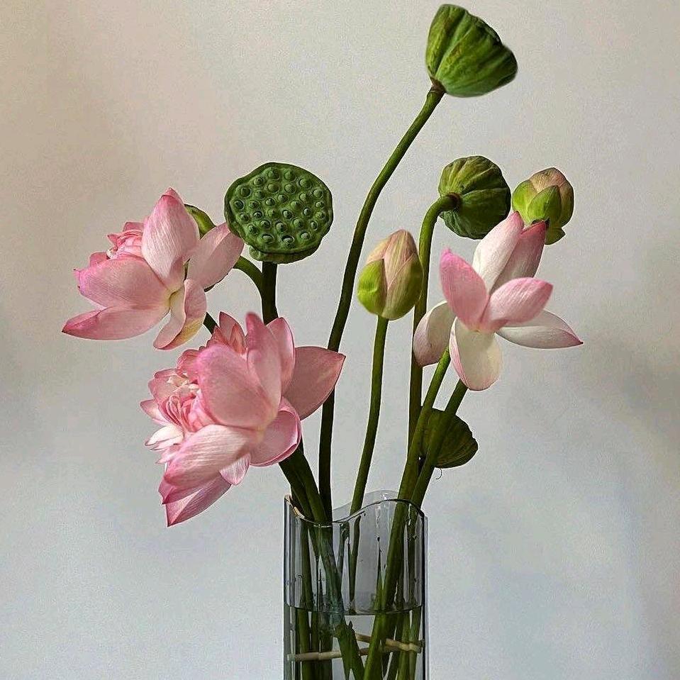 张鑫老师