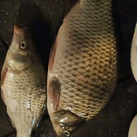 🌈随缘🎣🐟