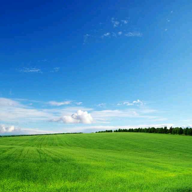 《最美的相遇》