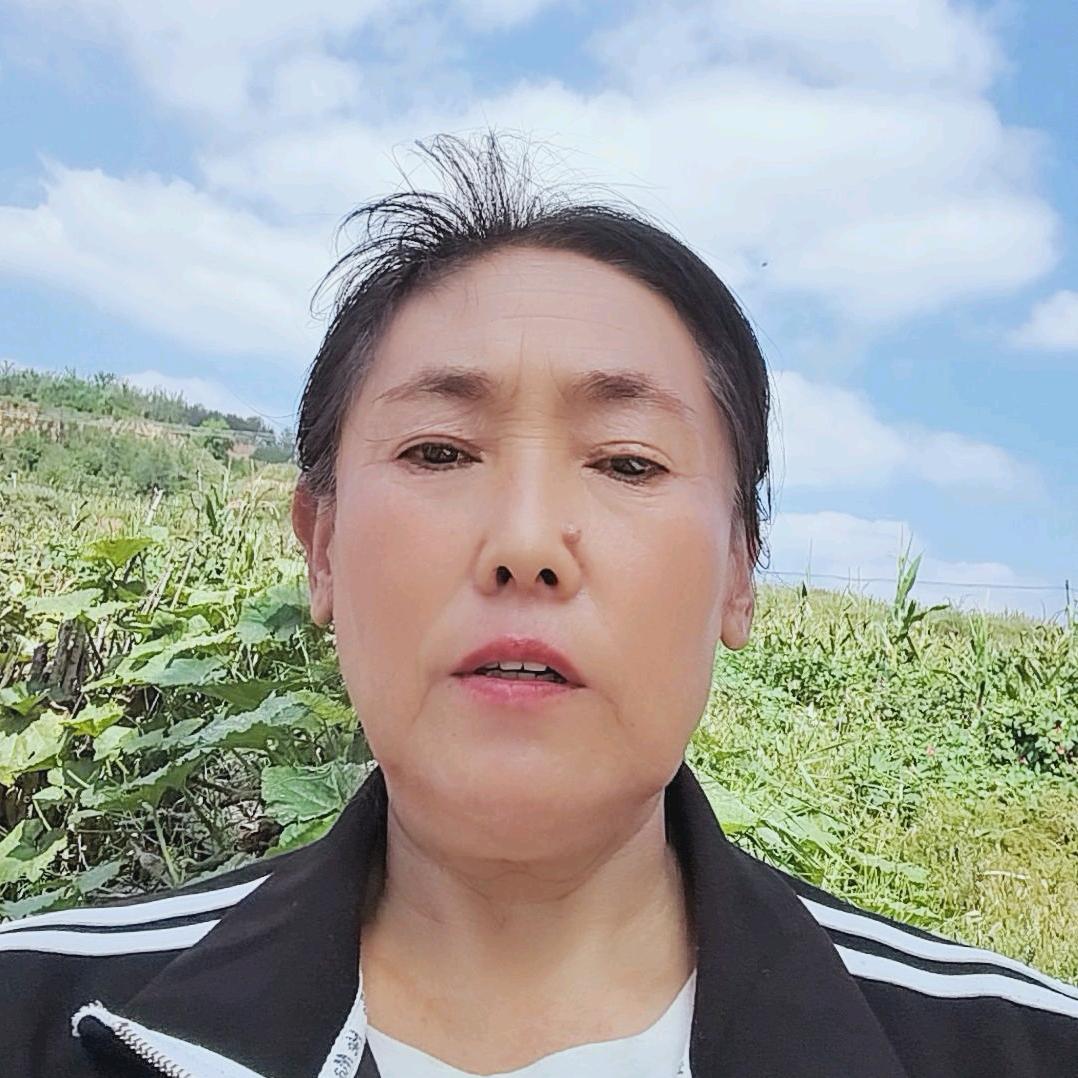 鹿姐(首播晚上8点10分）