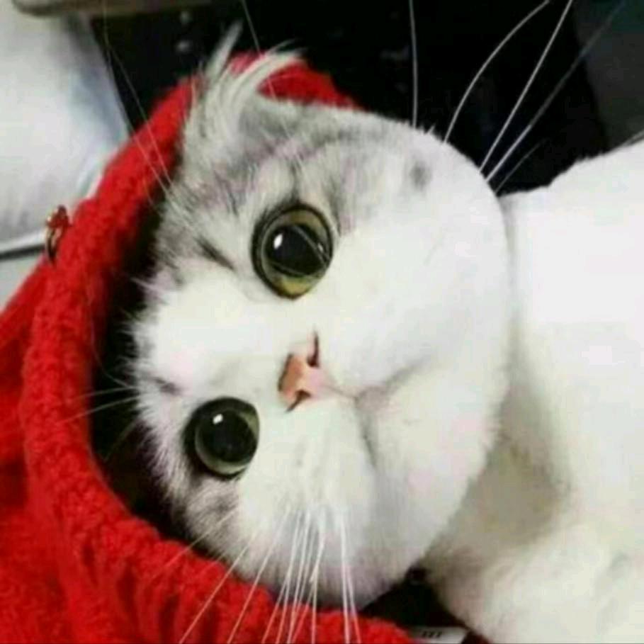 自👄由