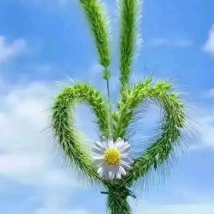 ^O^月亮不孤单^O^