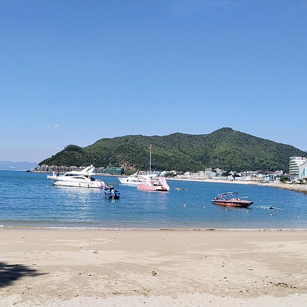 心有不甘