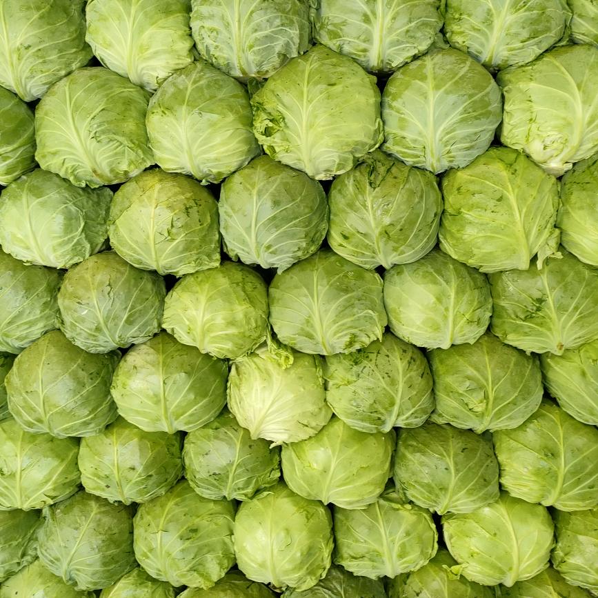 万亩蔬菜免费代收，