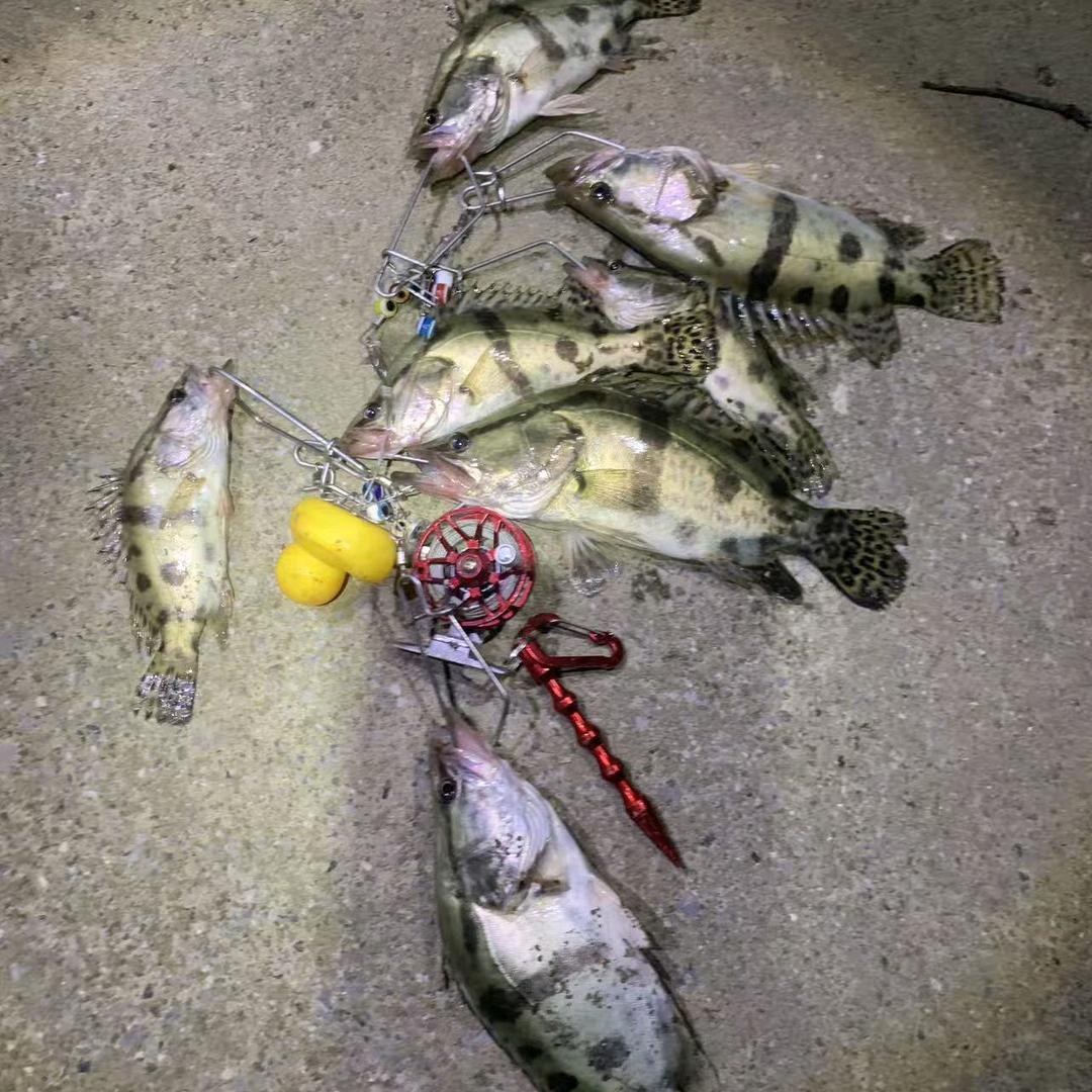 🎣爱钓鱼