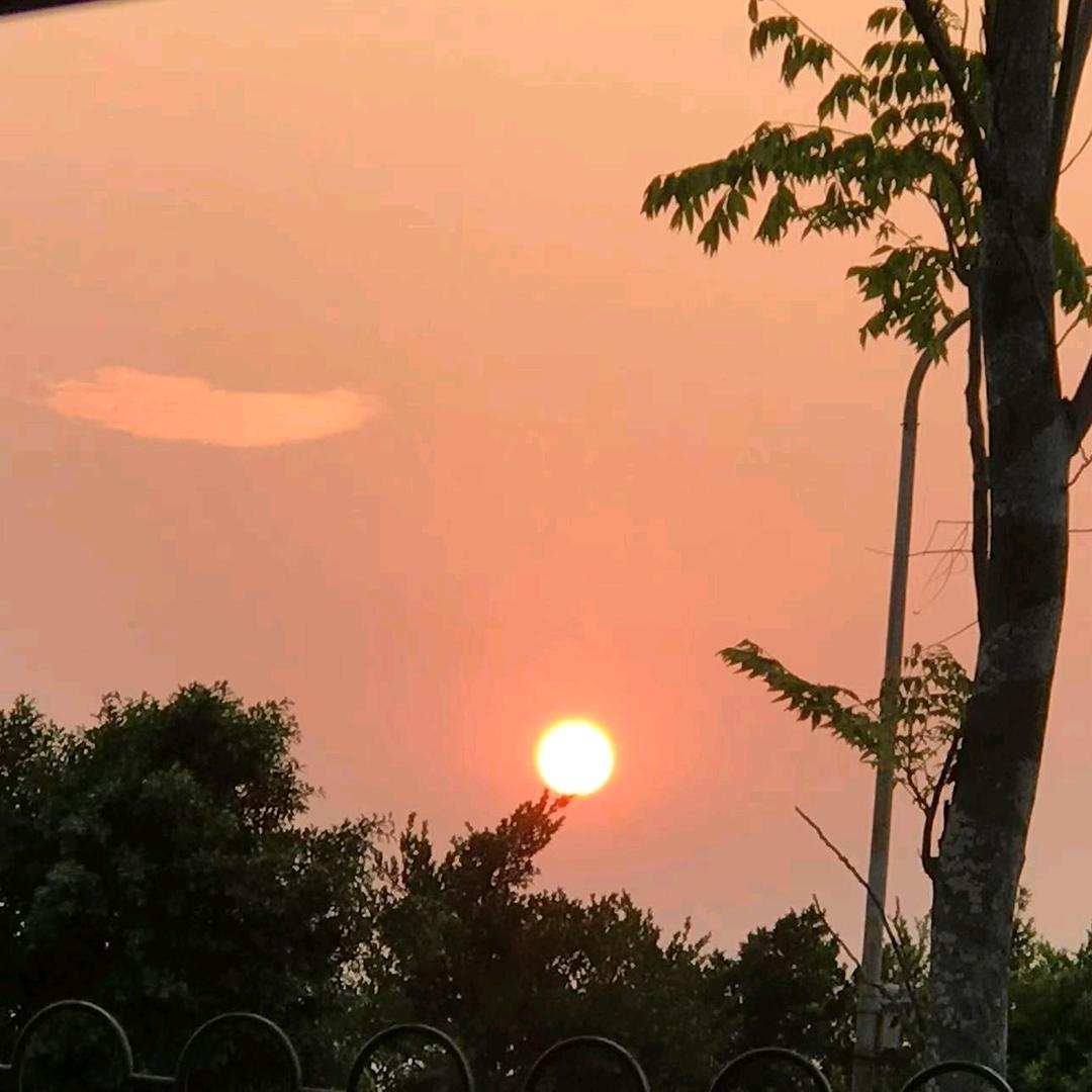 东佳臻选（🉑批发）