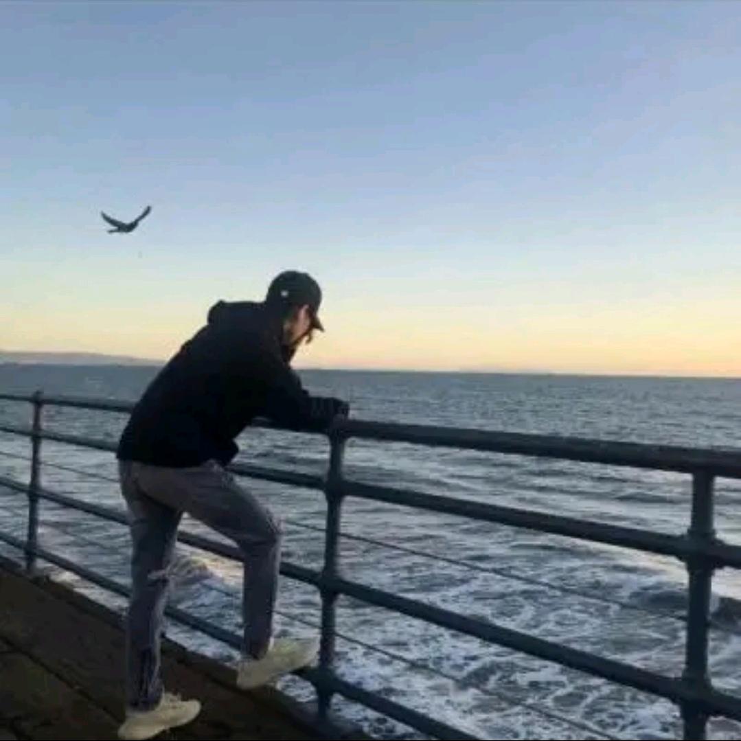 ╭(╯隨訫づ🌿