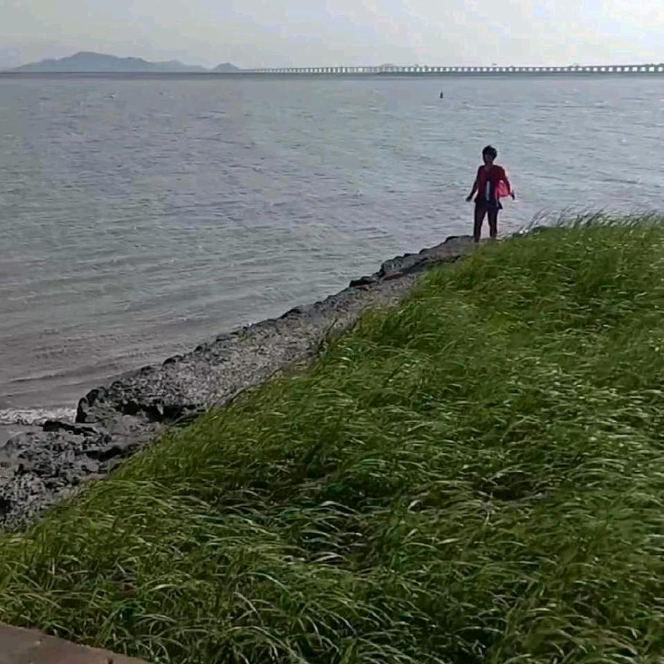相亲相爱一家人刘凤头像