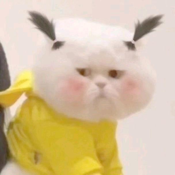 球了个球