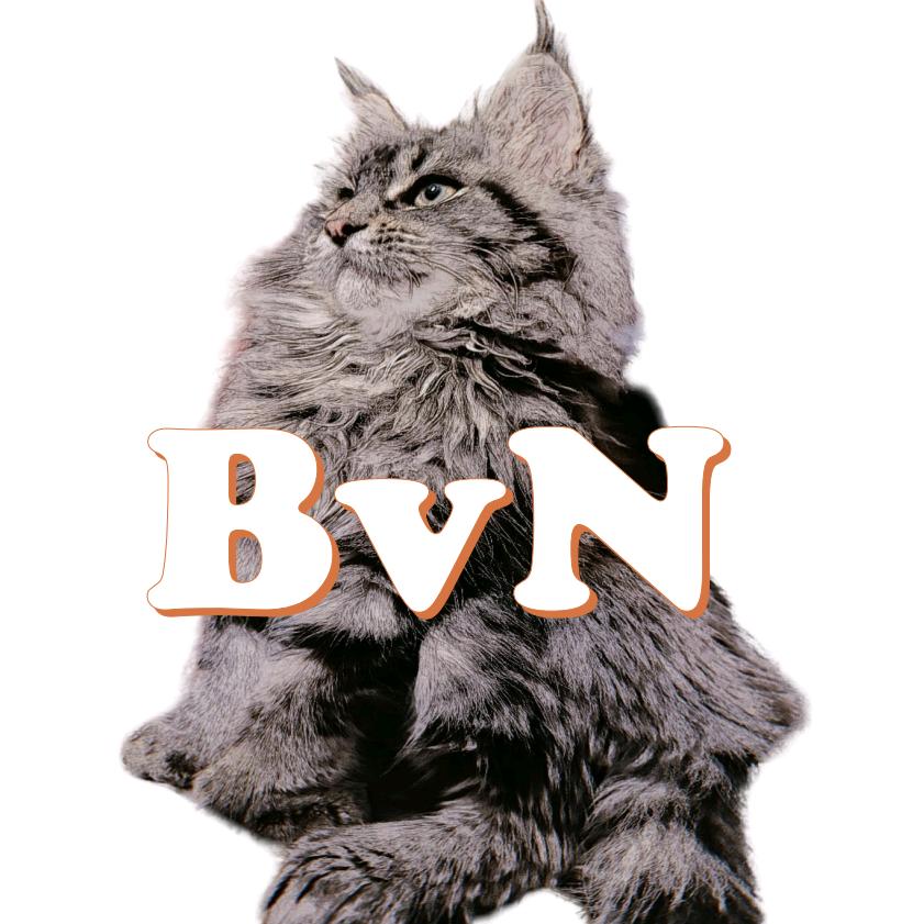 柏威年BVN宠物用品店(雁塔店)