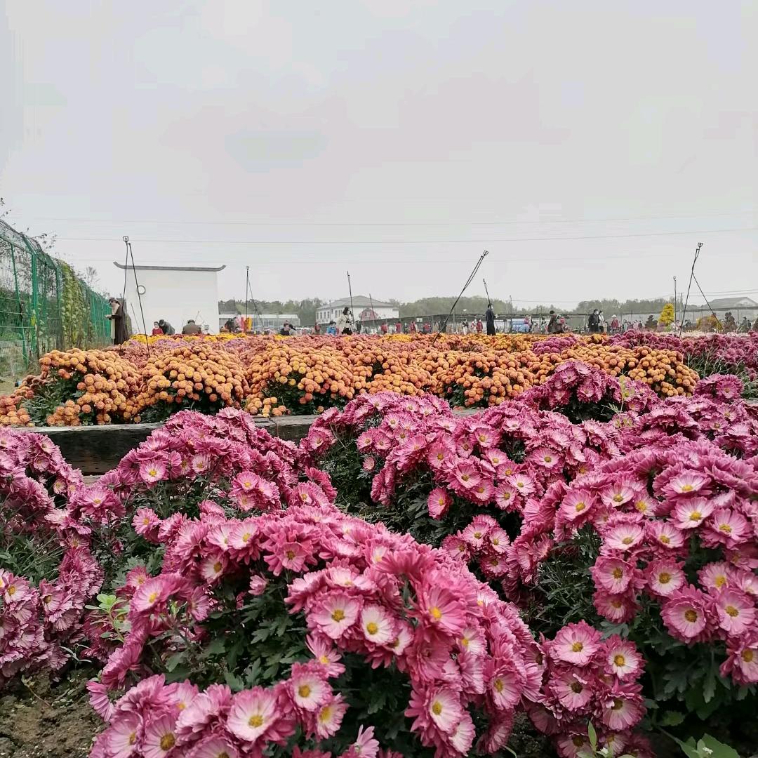 @春风十里不如你