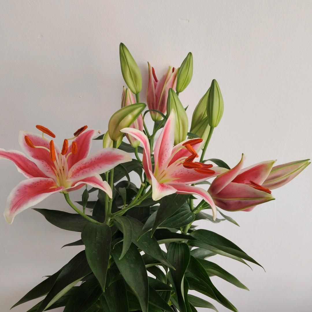 开心快乐每一天